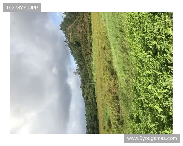 开云7月温网直击草地让局盘口大数据建模首发前瞻爆冷预警