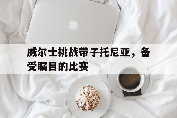九游体育入口-威尔士挑战带子托尼亚，备受瞩目的比赛的简单介绍